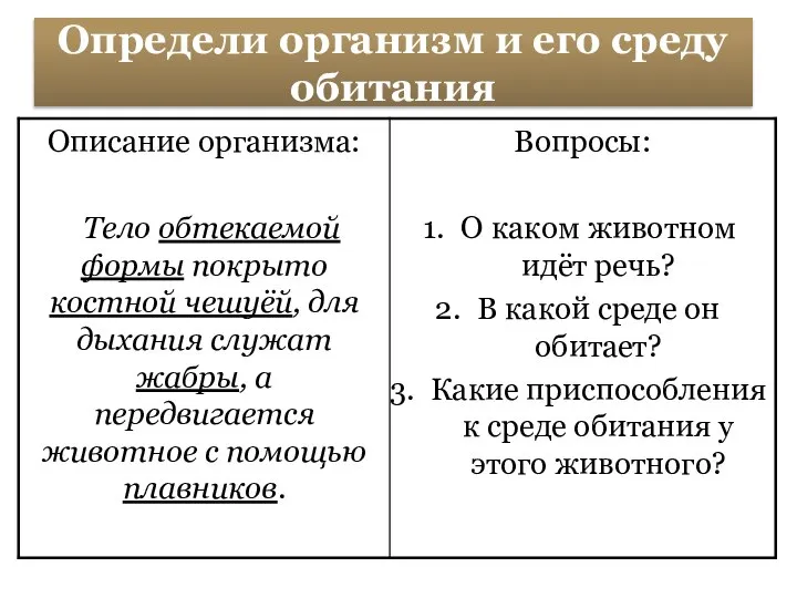 Определи организм и его среду обитания