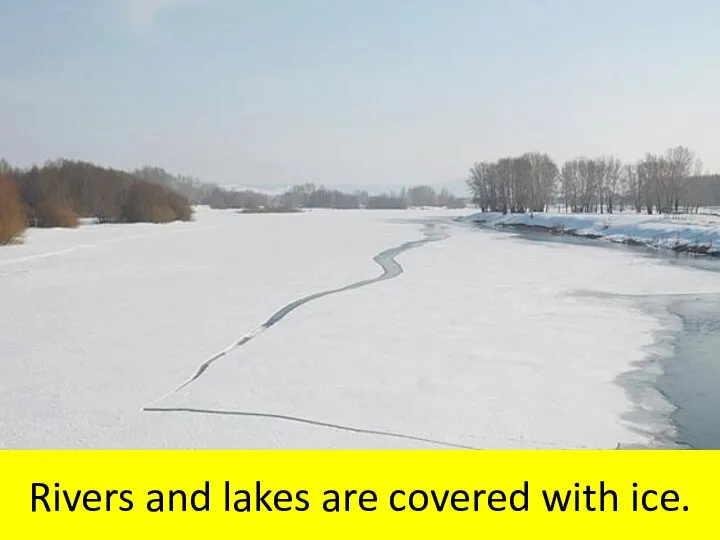 Rivers and lakes are covered with ice.