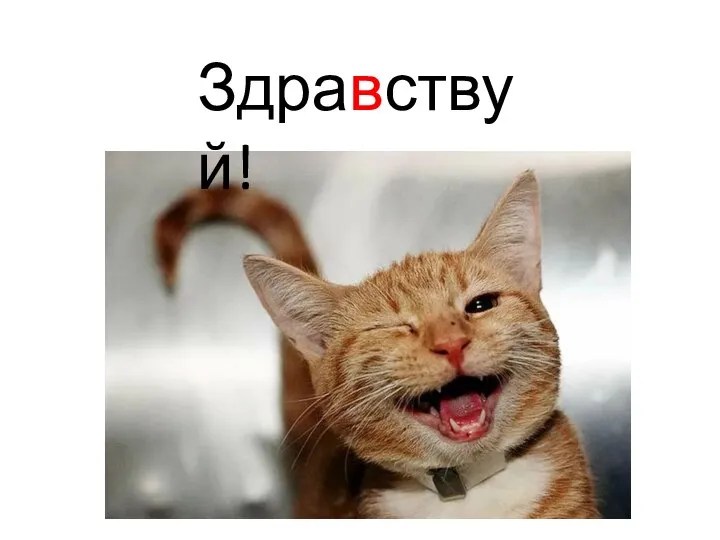 Здравствуй!