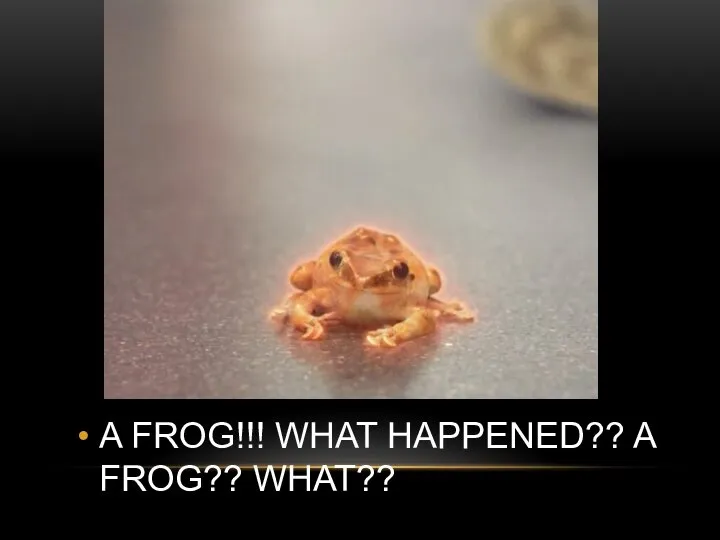 A FROG!!! WHAT HAPPENED?? A FROG?? WHAT??