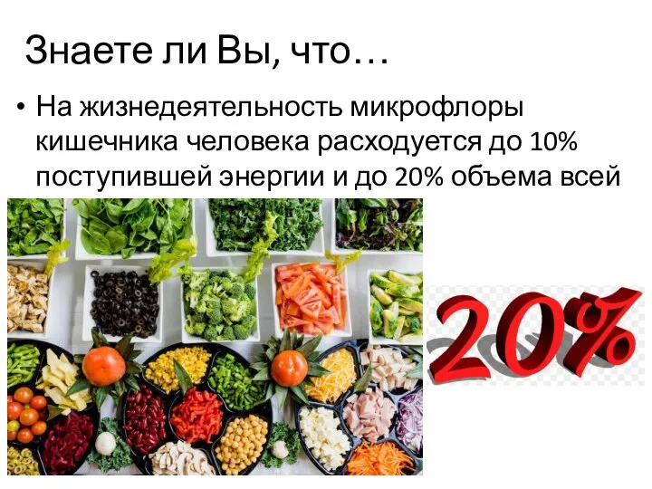 Знаете ли Вы, что… На жизнедеятельность микрофлоры кишечника человека расходуется до