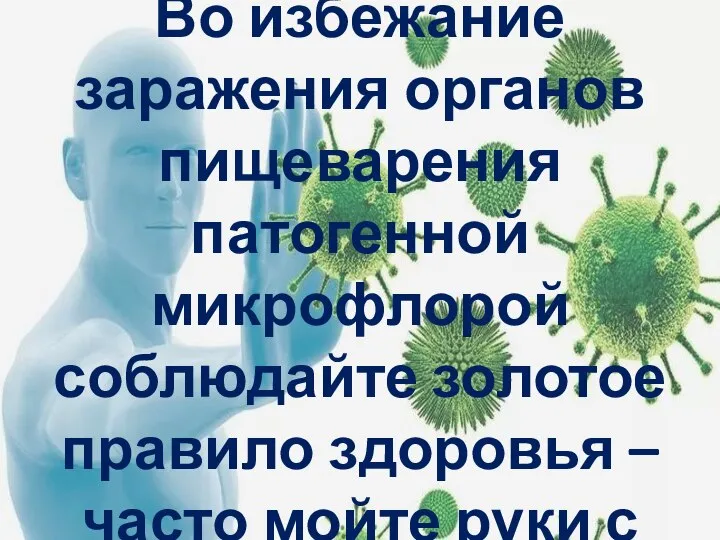 Во избежание заражения органов пищеварения патогенной микрофлорой соблюдайте золотое правило здоровья