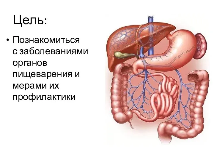 Цель: Познакомиться с заболеваниями органов пищеварения и мерами их профилактики