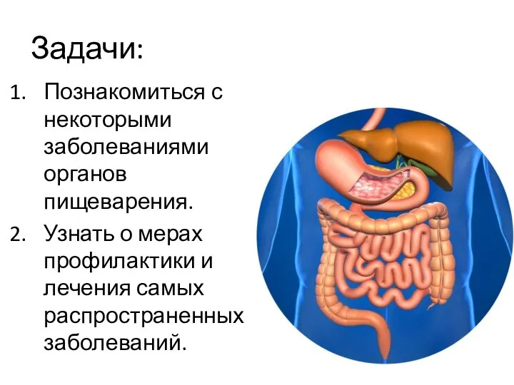 Задачи: Познакомиться с некоторыми заболеваниями органов пищеварения. Узнать о мерах профилактики и лечения самых распространенных заболеваний.