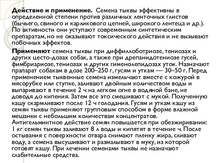 Действие и применение. Семена тыквы эффективны в определенной степени против различных