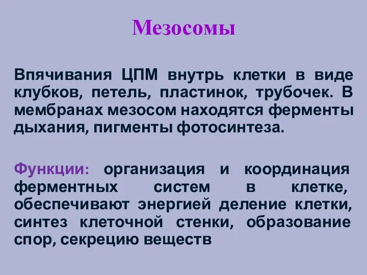 Мезосомы Впячивания ЦПМ внутрь клетки в виде клубков, петель, пластинок, трубочек.