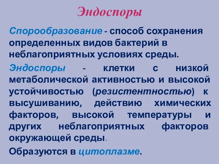 Эндоспоры Спорообразование - способ сохранения определенных видов бактерий в неблагоприятных условиях