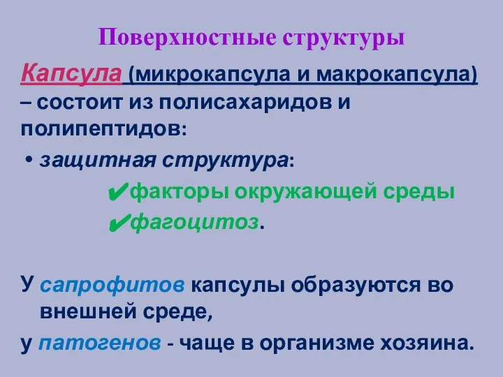 Поверхностные структуры Капсула (микрокапсула и макрокапсула) – состоит из полисахаридов и