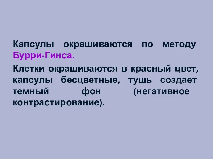 Капсулы окрашиваются по методу Бурри-Гинса. Клетки окрашиваются в красный цвет, капсулы