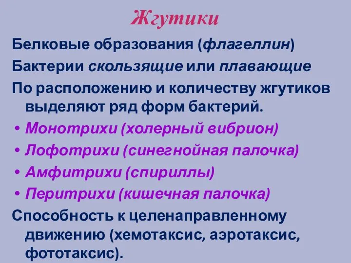 Жгутики Белковые образования (флагеллин) Бактерии скользящие или плавающие По расположению и