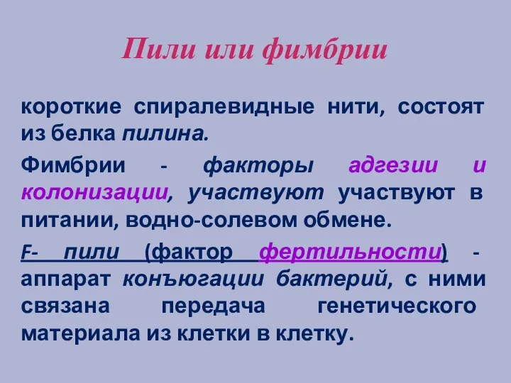 Пили или фимбрии короткие спиралевидные нити, состоят из белка пилина. Фимбрии