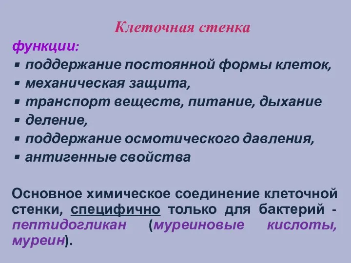 Клеточная стенка функции: поддержание постоянной формы клеток, механическая защита, транспорт веществ,