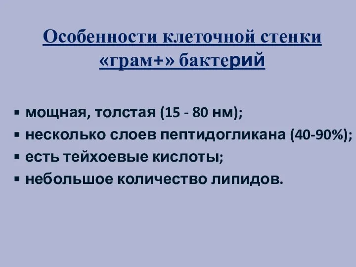 Особенности клеточной стенки «грам+» бактерий мощная, толстая (15 - 80 нм);