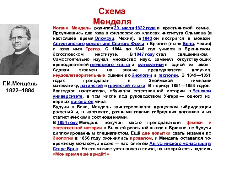 Схема Менделя Г.И.Мендель 1822–1884 Иоганн Мендель родился 20 июля 1822 года