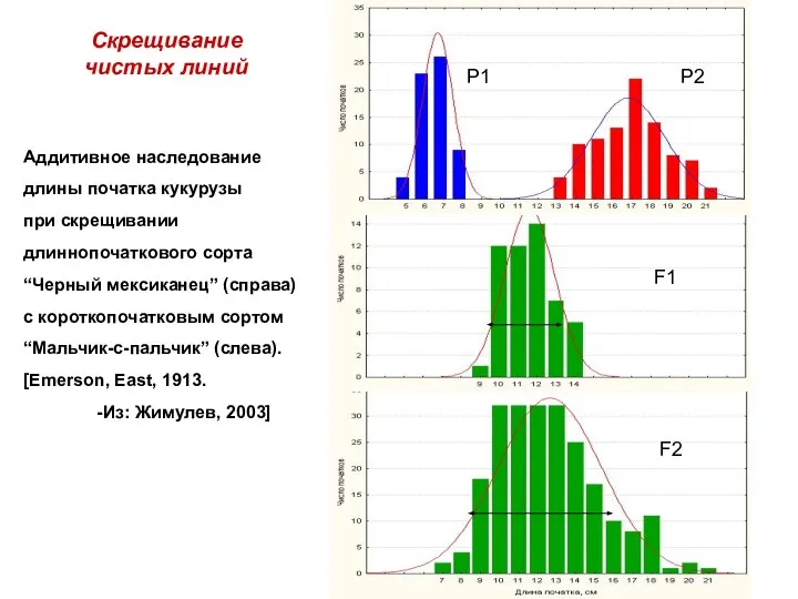 Аддитивное наследование длины початка кукурузы при скрещивании длиннопочаткового сорта “Черный мексиканец”