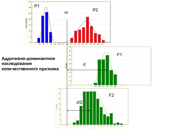 d d/2 m P1 P2 F1 F2 Аддитивно-доминантное наследование количественного признака