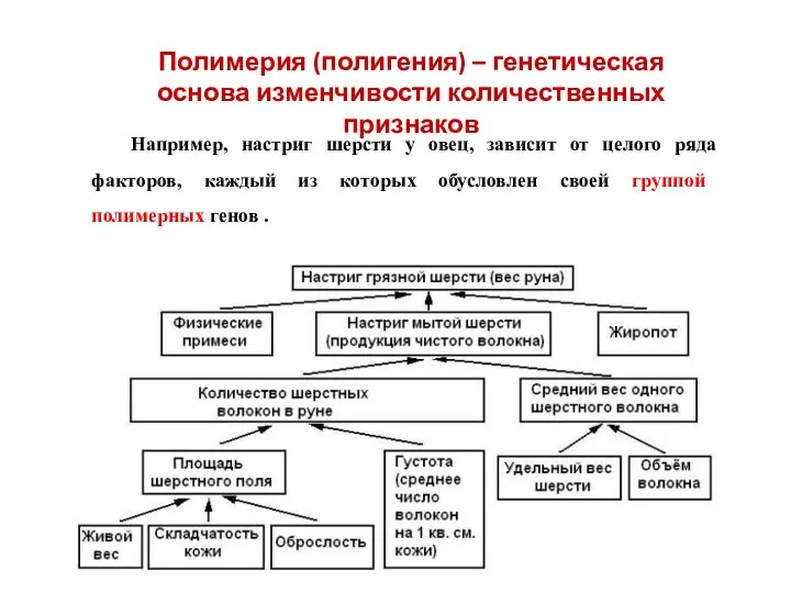 Например, настриг шерсти у овец, зависит от целого ряда факторов, каждый