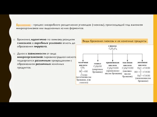 Брожение - процесс анаэробного расщепления углеводов (глюкозы), происходящий под влиянием микроорганизмов