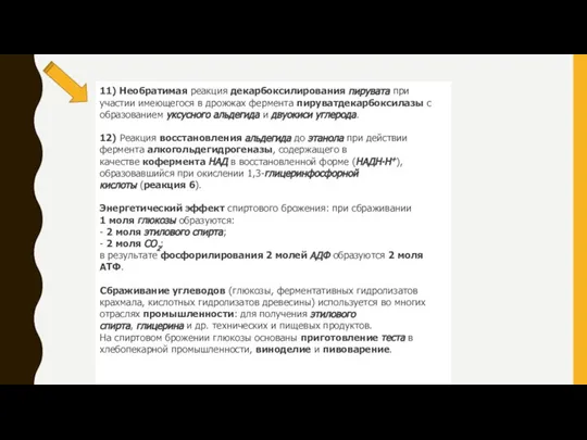 11) Необратимая реакция декарбоксилирования пирувата при участии имеющегося в дрожжах фермента