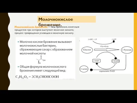 Молочнокислое брожение. Молочноки́слое броже́ние — вид брожения, конечным продуктом при котором