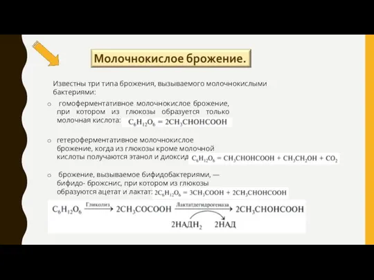 Известны три типа брожения, вызываемого молочнокислыми бактериями: гомоферментативное молочнокислое брожение, при