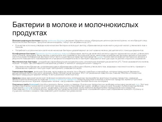 Бактерии в молоке и молочнокислых продуктах Флюоресцирующие бактерии группа молочных бактерий