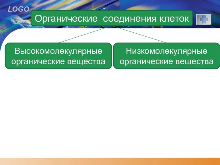 Органические соединения клеток Высокомолекулярные органические вещества Низкомолекулярные органические вещества