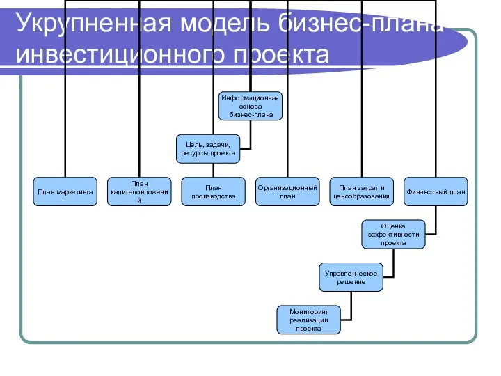 Укрупненная модель бизнес-плана инвестиционного проекта