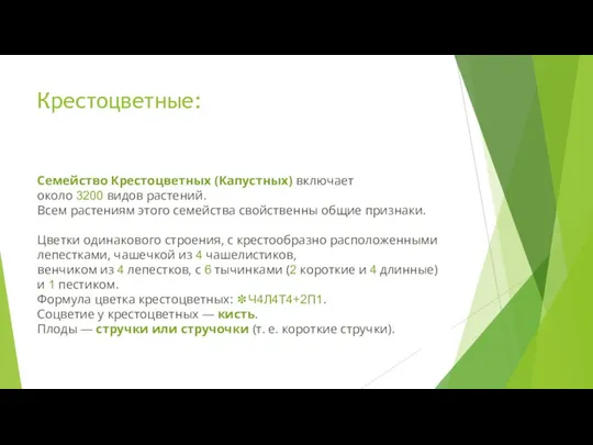 Крестоцветные: Семейство Крестоцветных (Капустных) включает около 3200 видов растений. Всем растениям