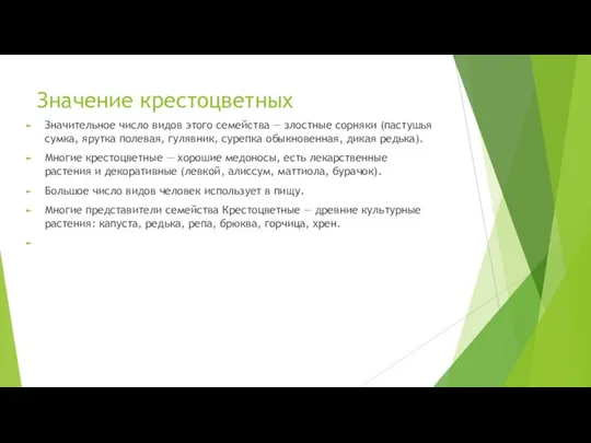 Значение крестоцветных Значительное число видов этого семейства — злостные сорняки (пастушья