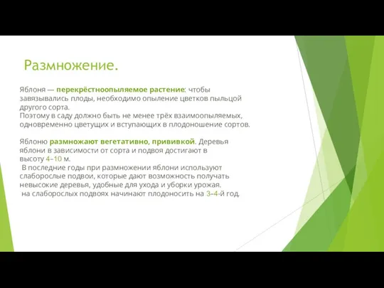 Размножение. Яблоня — перекрёстноопыляемое растение: чтобы завязывались плоды, необходимо опыление цветков