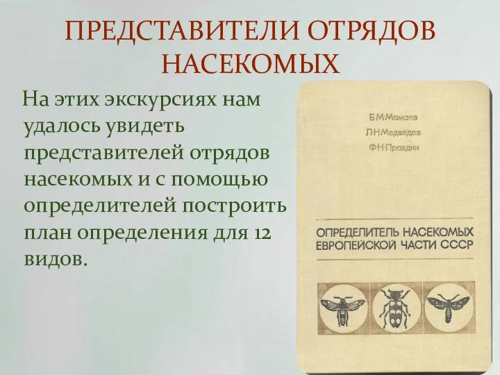 ПРЕДСТАВИТЕЛИ ОТРЯДОВ НАСЕКОМЫХ На этих экскурсиях нам удалось увидеть представителей отрядов