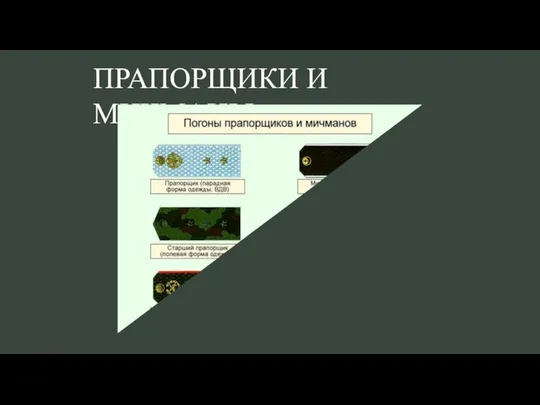 ПРАПОРЩИКИ И МИЧМАНЫ