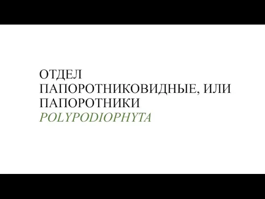 ОТДЕЛ ПАПОРОТНИКОВИДНЫЕ, ИЛИ ПАПОРОТНИКИ POLYPODIOPHYTA