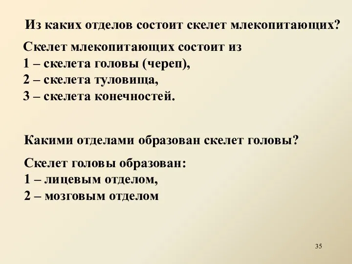 Из каких отделов состоит скелет млекопитающих? Скелет млекопитающих состоит из 1