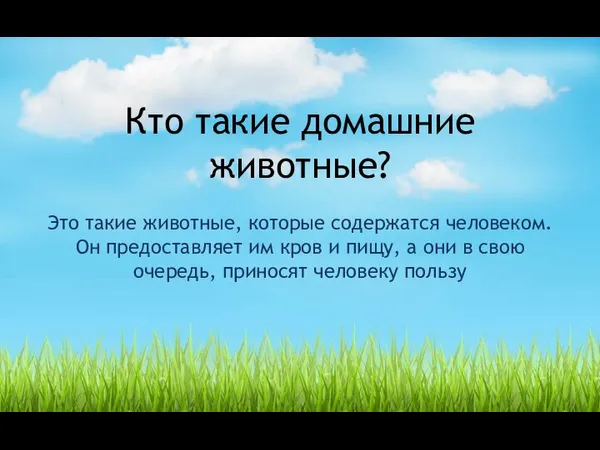 Кто такие домашние животные? Это такие животные, которые содержатся человеком. Он