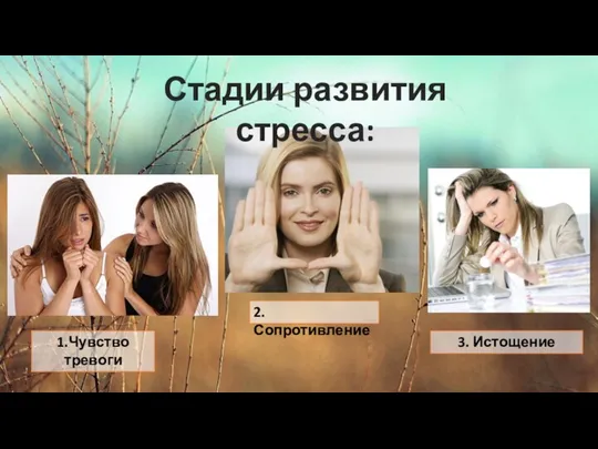 1.Чувство тревоги 2. Сопротивление 3. Истощение Стадии развития стресса: