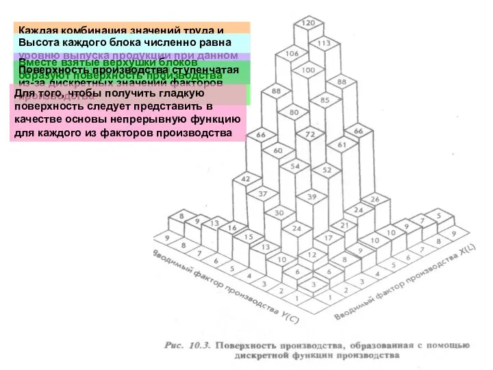 Каждая комбинация значений труда и капитала образует в своем пересечении основание