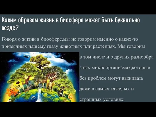 Каким образом жизнь в биосфере может быть буквально везде? Говоря о