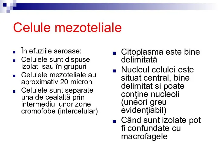 Celule mezoteliale În efuziile seroase: Celulele sunt dispuse izolat sau în