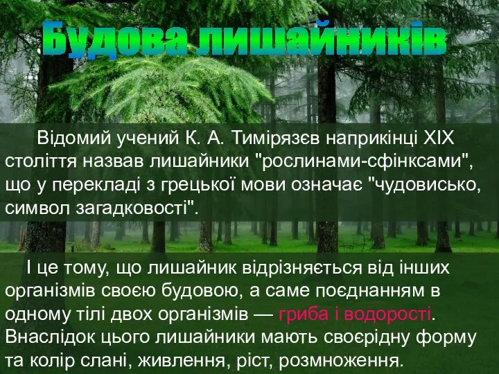 І це тому, що лишайник відрізняється від інших організмів своєю будовою,