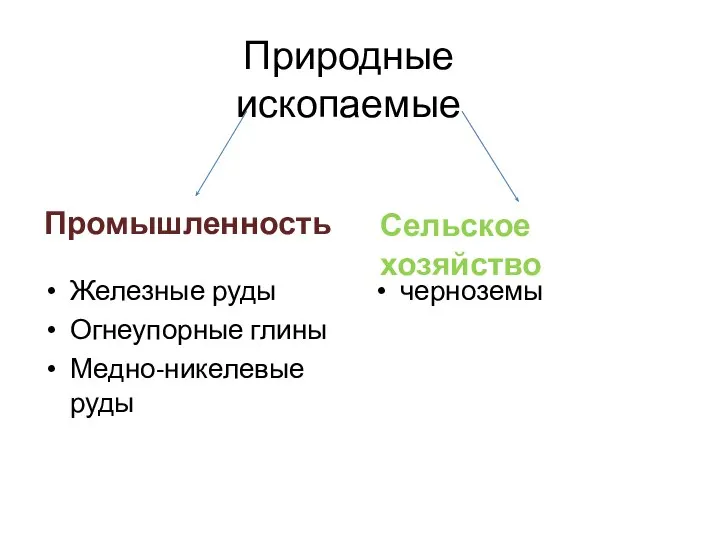 Промышленность Сельское хозяйство Природные ископаемые Железные руды Огнеупорные глины Медно-никелевые руды черноземы