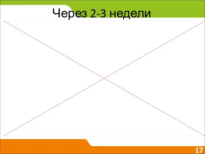 Через 2-3 недели