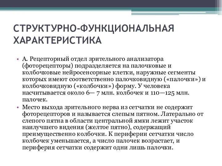 СТРУКТУРНО-ФУНКЦИОНАЛЬНАЯ ХАРАКТЕРИСТИКА А. Рецепторный отдел зрительного анализатора (фоторецепторы) подразделяется на палочковые