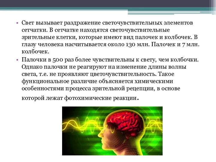 Свет вызывает раздражение светочувствительных элементов сетчатки. В сетчатке находятся светочувствительные зрительные