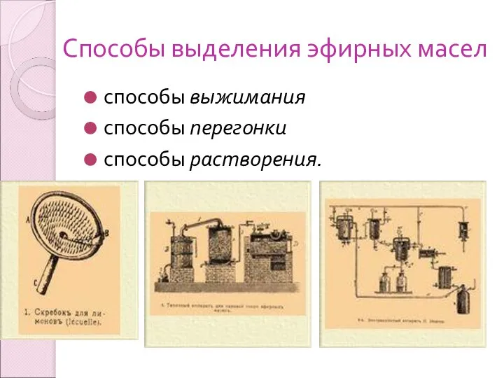 Способы выделения эфирных масел способы выжимания способы перегонки способы растворения.