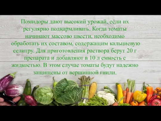 Помидоры дают высокий урожай, если их регулярно подкармливать. Когда томаты начинают