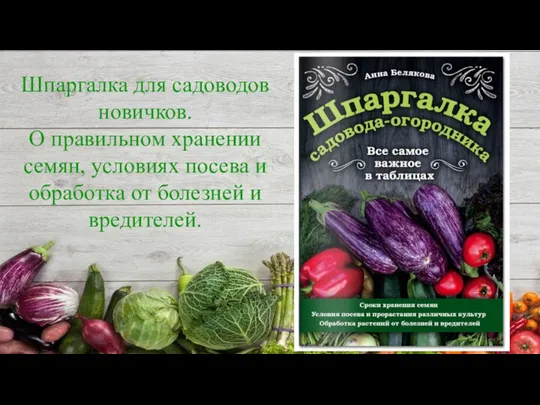 Шпаргалка для садоводов новичков. О правильном хранении семян, условиях посева и обработка от болезней и вредителей.