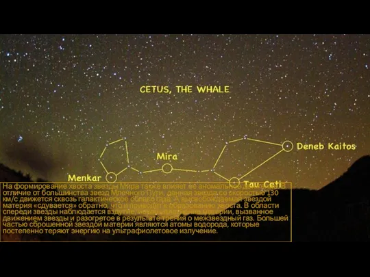 На формирование хвоста звезды Мира также влияет ее аномальное движение. В