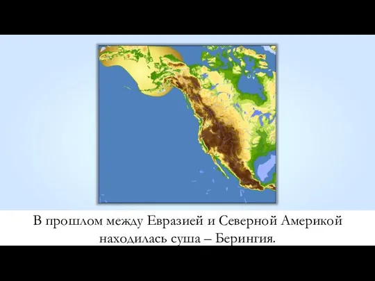 В прошлом между Евразией и Северной Америкой находилась суша – Берингия.